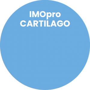 cartilago_cerchio